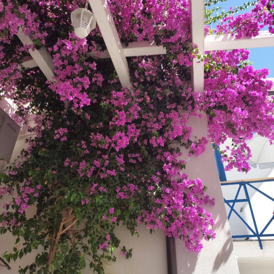 B&B Sognando Vietri E Spa Esclusiva Aversa Eksteriør bilde